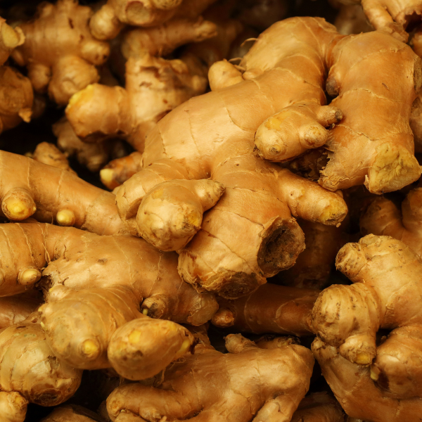 Ginger (Indian Origin)